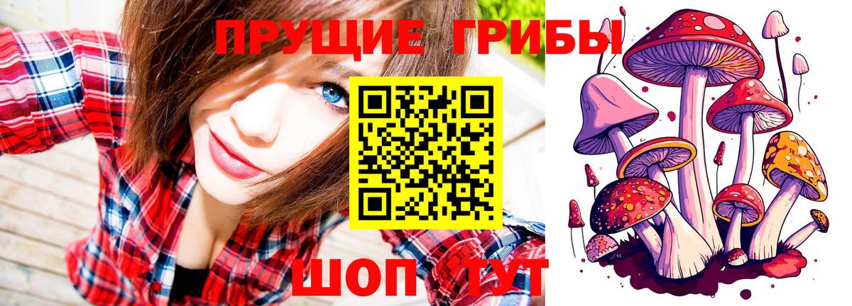 Псилоцибиновые грибы ЛСД Вышний Волочёк